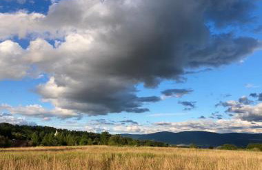 Dom Gościnny Zarembianka - Foto 32