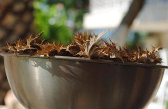 Villa Olga Lounge Hotel - Foto 35