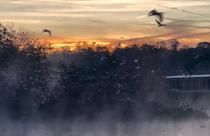 Private Tropical Waterfront Sanctuary w pool, hot tub & an island! Pet Friendly - Foto 22