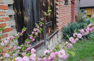Domek na wsi Wiejsko Czarodziejsko - Agroturystyka Podlasie - Foto 61