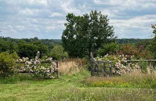 Maison de charme dans un Écrin de Verdure et calme - Foto 37