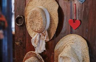 Casa Rural Oliveira do Bairro - Foto 13