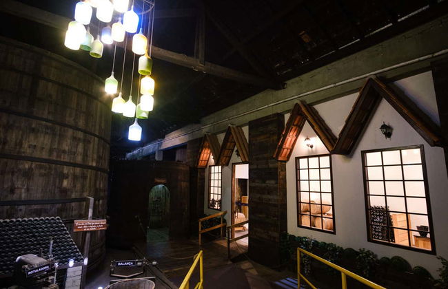 Tren Maria Fumaça + Visita a la Vinícola Garibaldi - Foto 9