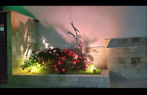 Laguna Lofts - Foto 19