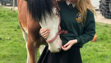 Morgan's Rest - Foto 2