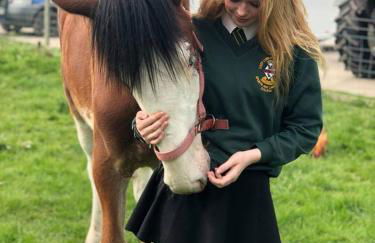 Morgan's Rest - Foto 2