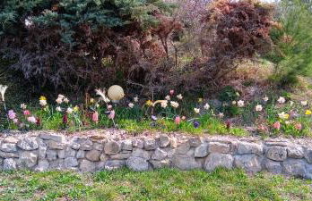 Maison provençale de charme - Photo 11