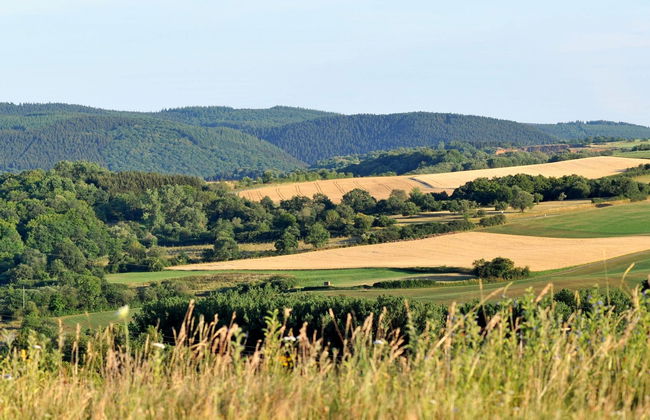 Holzchalet E - Foto 40