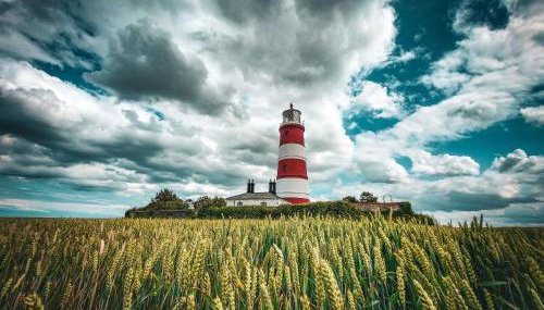 Barn in Happisburgh sleeping 2 and welcoming 5 dogs - close to beach! - Foto 1