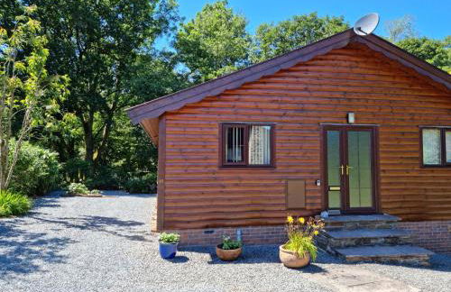 Luxury Wood Lodge with sauna, log burner & private woodland garden - Wnion Wood Lodge - Foto 9