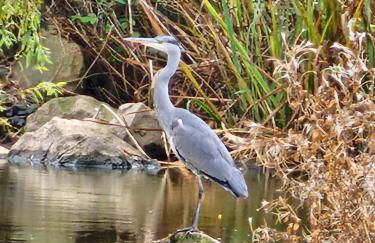 Sunrise Cottage central heated Southview Parkdean SKEGNESS Lincolnshire - Foto 34