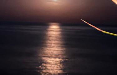 Casa Halcón - Foto 26