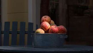 Secluded and Modern Cottage with a Fire Pit in Cazadero, California - Foto 5