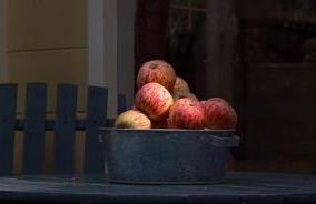 Secluded and Modern Cottage with a Fire Pit in Cazadero, California - Foto 5