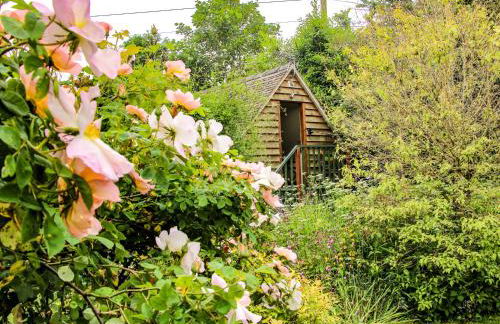 Milford Tree Tops - Foto 13