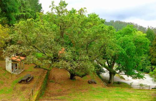 CASA do AÇÔR - Foto 31