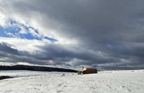 Pastelova Krova - domki w Bieszczadach - Foto 79