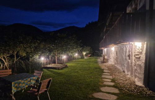 Natur Apartments Riesen - Photo 24