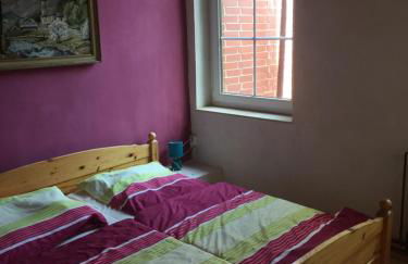 Biogut Evensen - Foto 9