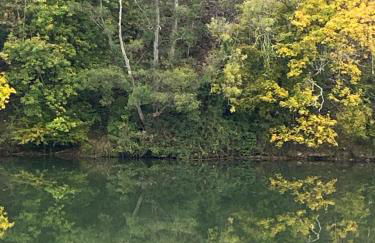 gite le CARMEL - Foto 51