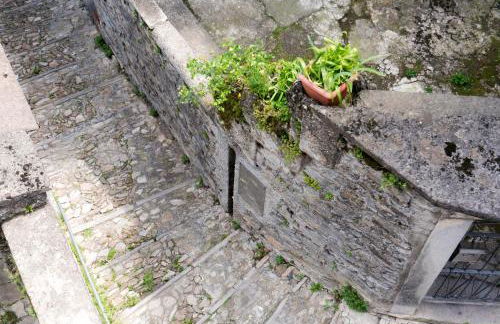 Laglio Apartment Above George - Foto 14