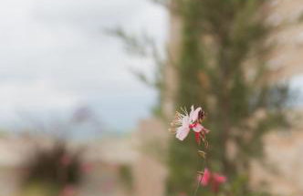 Villas Marathi Dyo, Chania Private Pool Stylish Adults-Only Escape - Foto 23