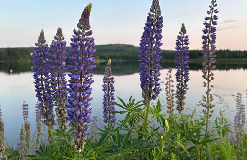 Ferienhaus Hentzschel - Foto 20