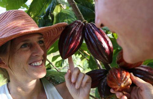 Hawaiian Sanctuary Eco Retreat Center - Foto 37