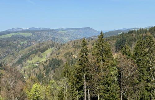 BergOase-Apart am Feldberg - Foto 58