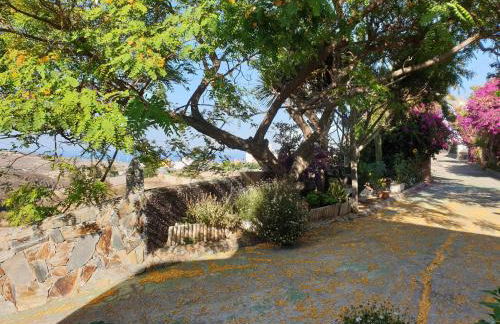 Finca Tropical - Foto 32