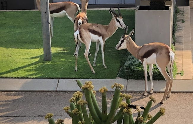 The Reserve Residence - Foto 50