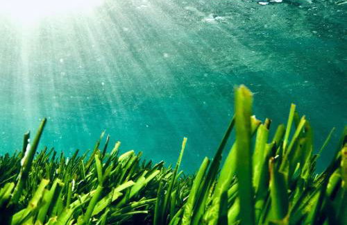 Mèna Mè - Casa vacanza - Salento - Foto 76