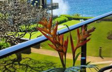 Makahuena at Poipu - Foto 25
