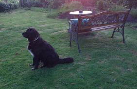 Haus am Wasser - Photo 15