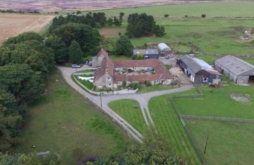 High Paradise Farm - Foto 12