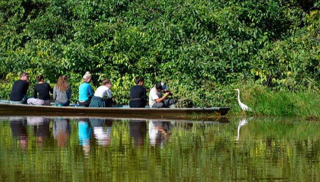 Observation d'oiseaux