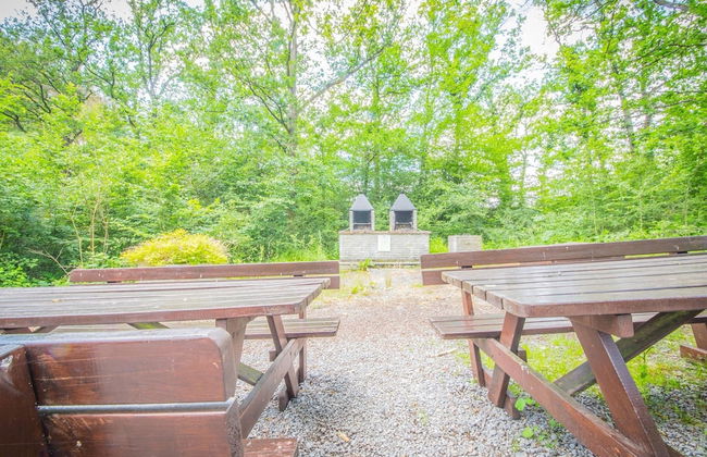 Ardennes Chalet Near Somme-leuze With Terrace - Foto 13