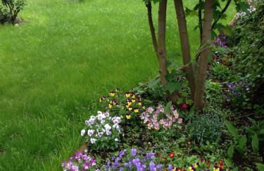 Les Gites Douillets de Sancerre - Foto 36