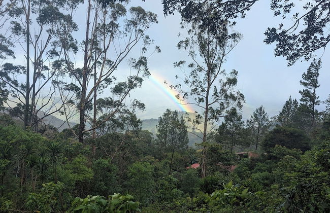 Campos de Oro Wilderness Lodge - Photo 75