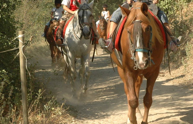 Paseo a caballo por los alrededores de Llavorsí - Photo 8