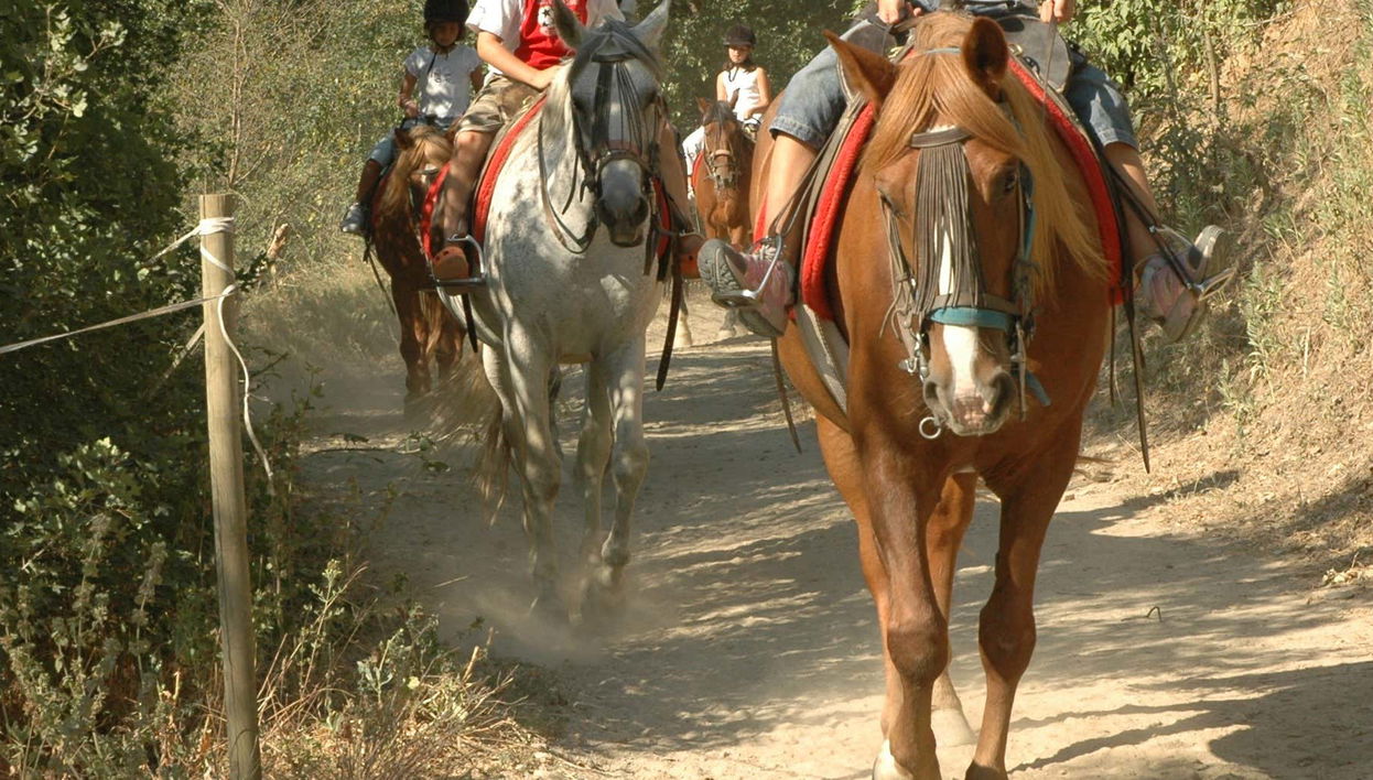 Tour in Llavorsí - Photo 1