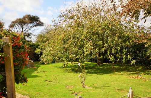 Whitestones - Photo 54