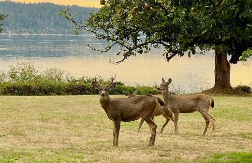 Beach and Bay Access! 5-Acre Whidbey Island Retreat - Foto 28