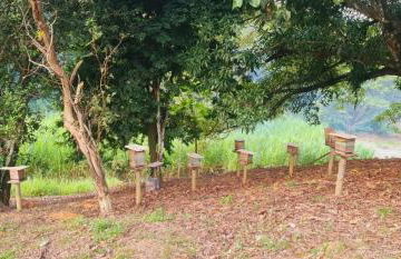 Sítio com piscina natural Cachoeiras de Macacu - Foto 55