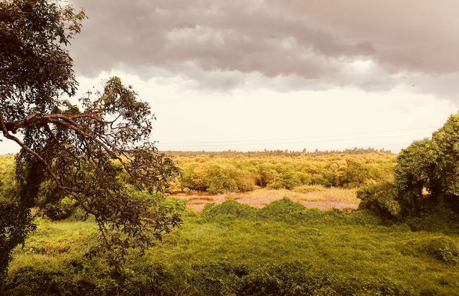 Monarch suites - Photo 30