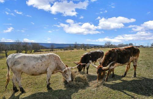 ‘Scenic Escapes’ Romantic Pine Grove Getaway! - Foto 20