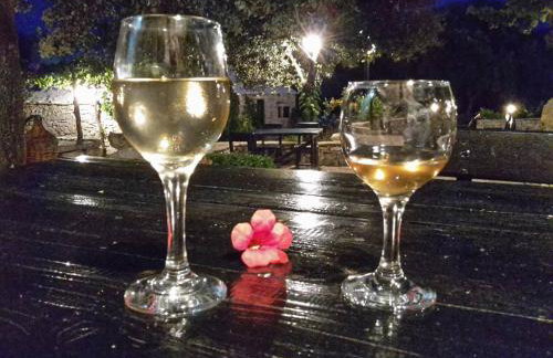 Country House Hacienda - Photo 45