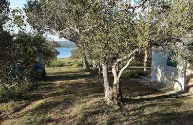 Robinson house Sea & olives - Photo 17