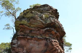 Zauber der Pfalz - Foto 71