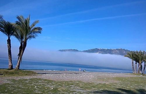 Between Beach & Center - Photo 25